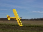 Piper J-3 Cub 450